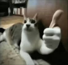 I got this